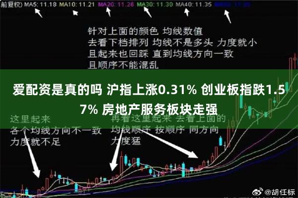 爱配资是真的吗 沪指上涨0.31% 创业板指跌1.57% 房地产服务板块走强