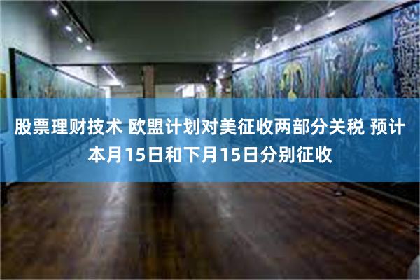 股票理财技术 欧盟计划对美征收两部分关税 预计本月15日和下月15日分别征收