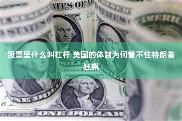 股票里什么叫杠杆 美国的体制为何管不住特朗普狂飙