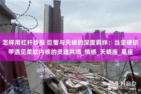 怎样用杠杆炒股 巨蟹与天蝎的深度羁绊：当坚硬铠甲遇见柔软内核的灵魂共鸣_情感_天蝎座_星座