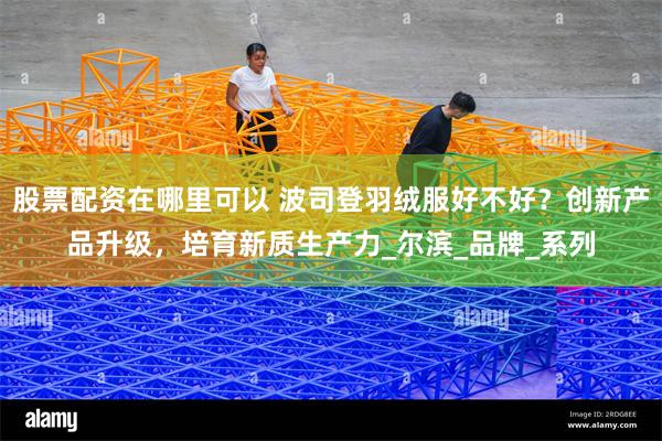 股票配资在哪里可以 波司登羽绒服好不好？创新产品升级，培育新质生产力_尔滨_品牌_系列