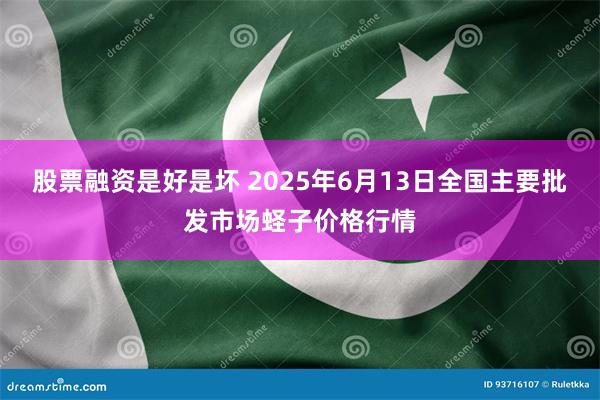 股票融资是好是坏 2025年6月13日全国主要批发市场蛏子价格行情